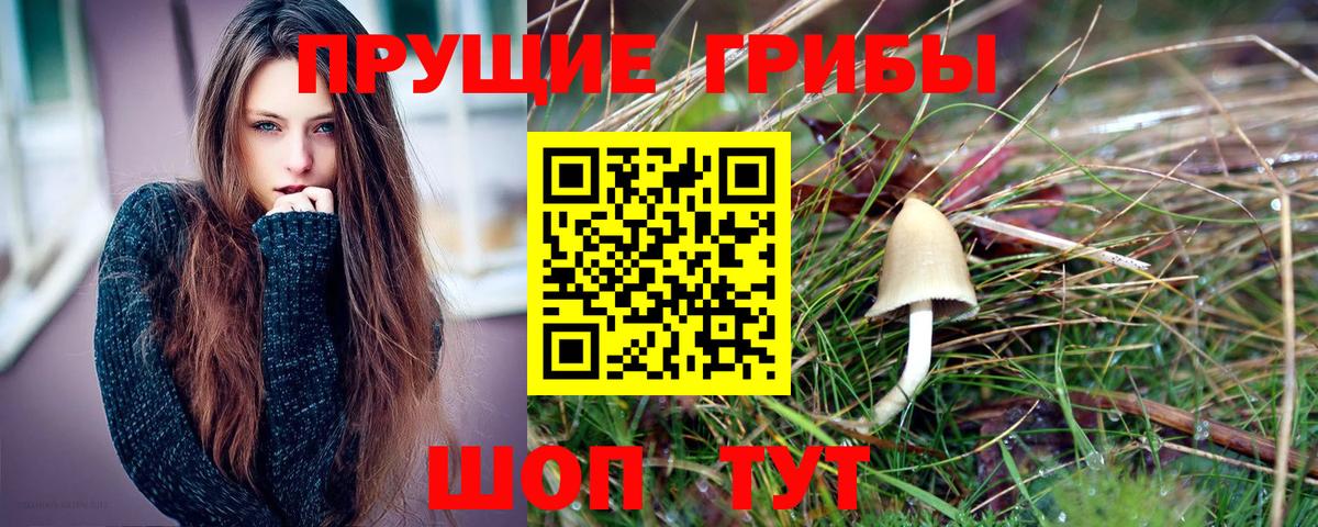 Карталы  Галлюциногенные грибы GOLDEN TEACHER  Вход с VPN 